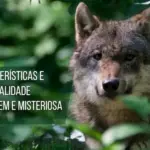 Green and White Natural Wildlife in Danger Video