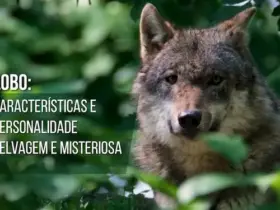 Green and White Natural Wildlife in Danger Video